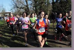 Begles 15.12.13 01 449 * 679 x 453 * (165KB)